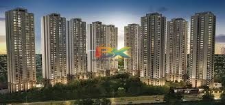 BZX Property
