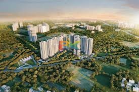 BZX Property