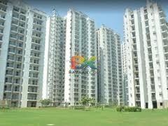 BZX Property