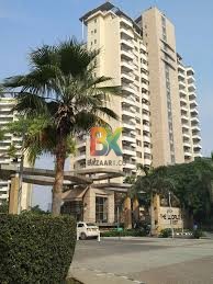 BZX Property