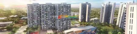 BZX Property