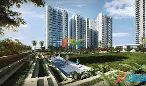 BZX Property