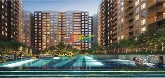 BZX Property