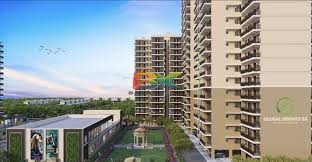 BZX Property