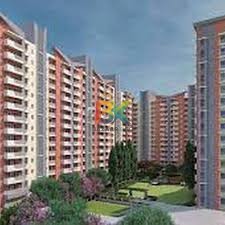 BZX Property