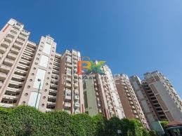 BZX Property