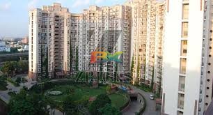 BZX Property