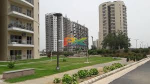 BZX Property