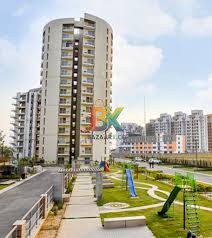 BZX Property