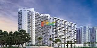 BZX Property