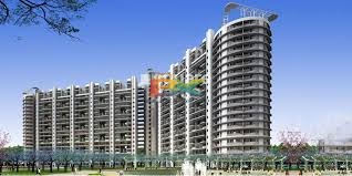 BZX Property