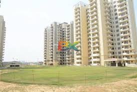 BZX Property