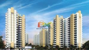 BZX Property