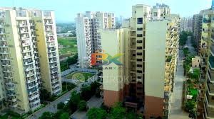 BZX Property