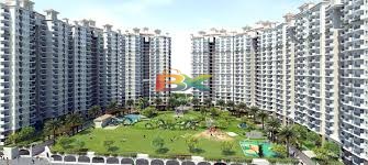 BZX Property