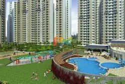 BZX Property