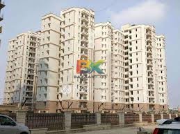 BZX Property