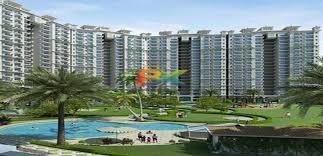 BZX Property