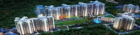 BZX Property