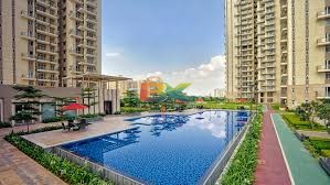 BZX Property