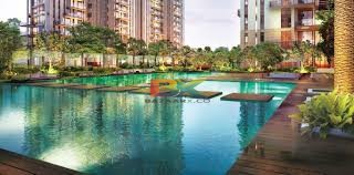 BZX Property