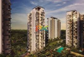 BZX Property