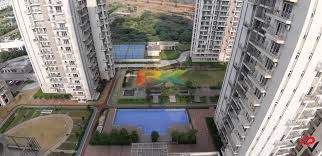 BZX Property