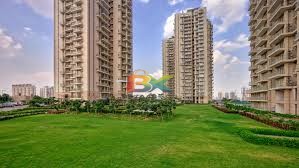 BZX Property