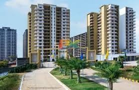 BZX Property