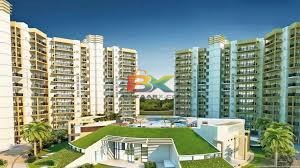 BZX Property