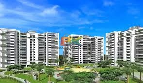 BZX Property