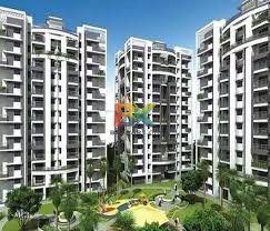 BZX Property