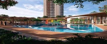BZX Property