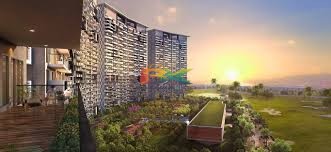 BZX Property