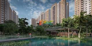 BZX Property