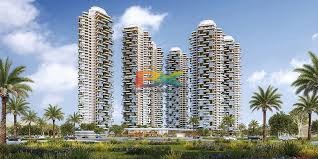 BZX Property