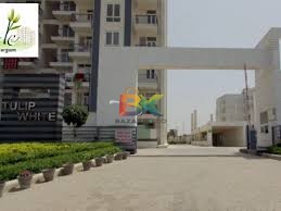 BZX Property