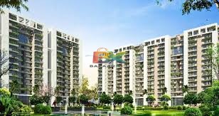 BZX Property