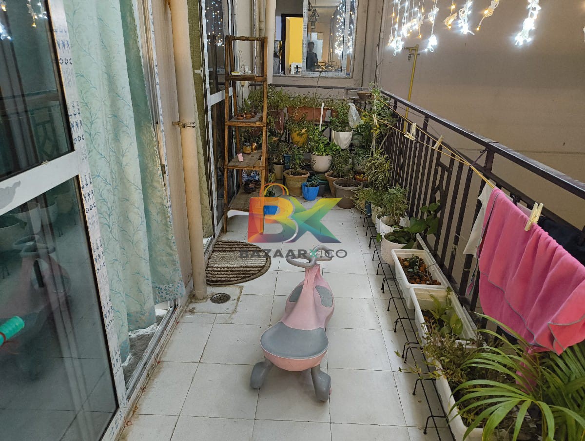 BZX Property
