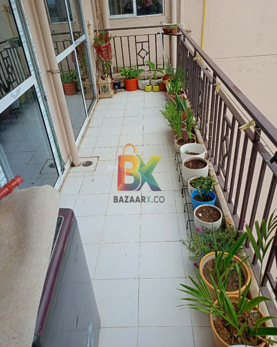 BZX Property