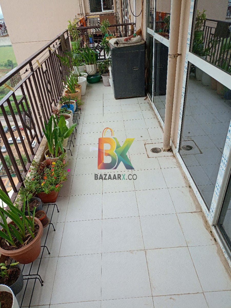 BZX Property