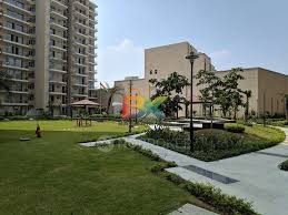 BZX Property
