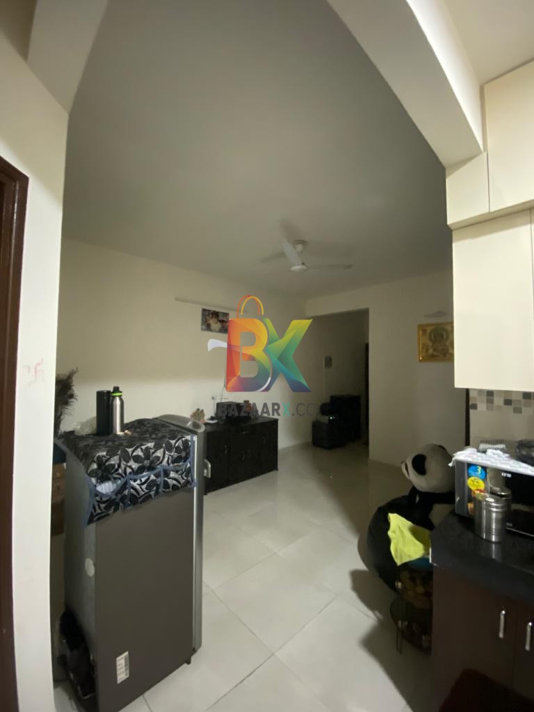 BZX Property