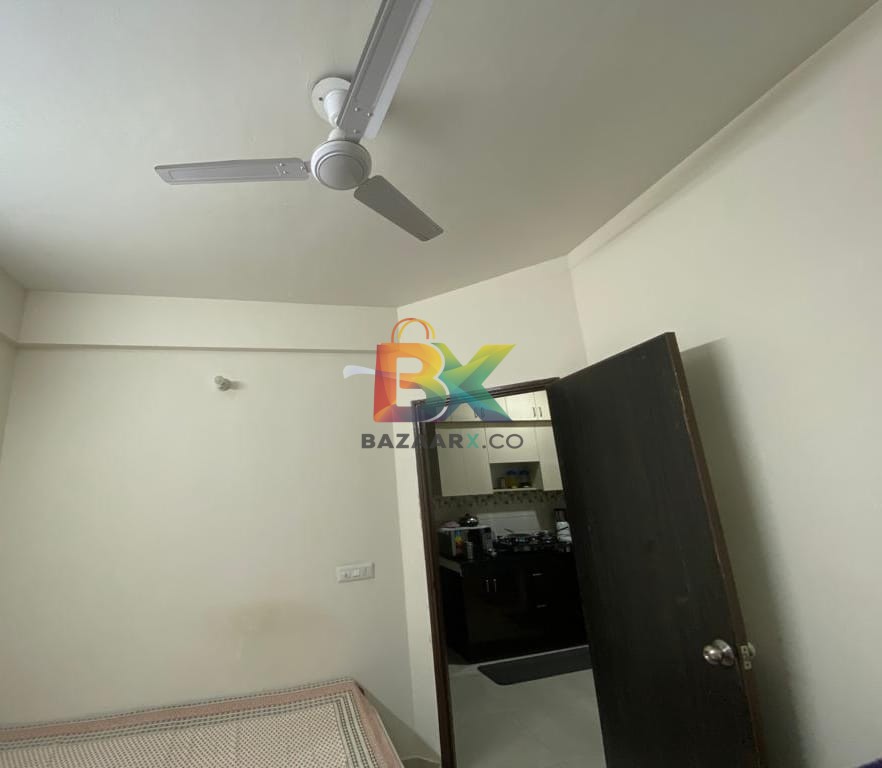 BZX Property