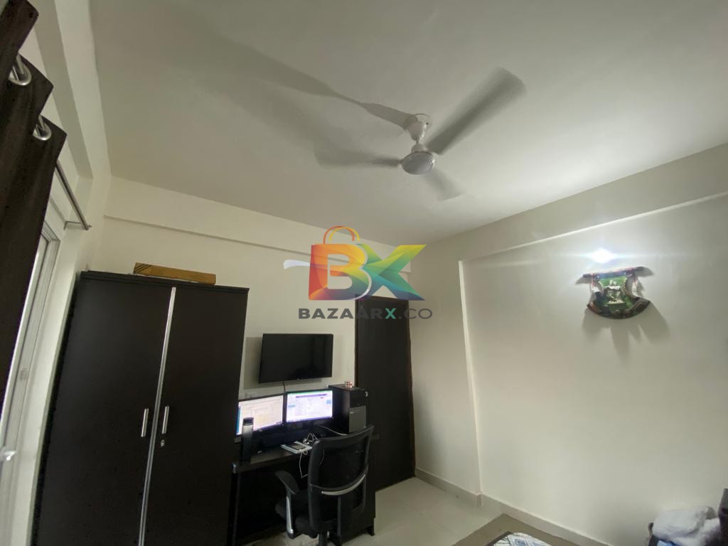 BZX Property
