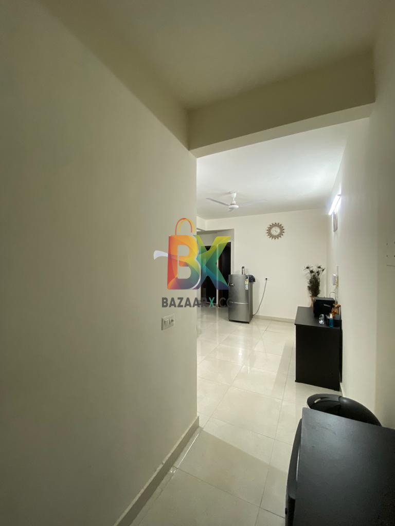 BZX Property