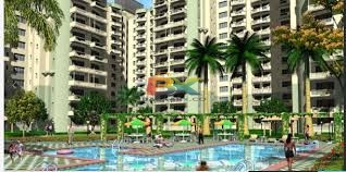 BZX Property
