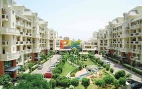 BZX Property