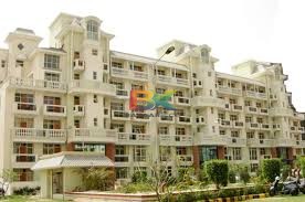 BZX Property