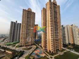 BZX Property